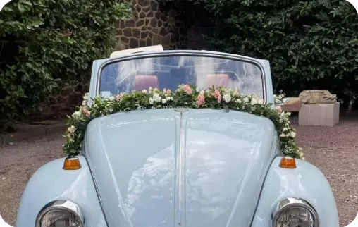 Fleurs sur une voiture